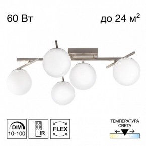 Потолочная люстра Citilux Dorsy CL223151 в Салехарде - salekhard.ok-mebel.com | фото 2