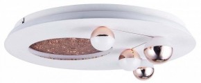 Потолочная люстра Favourite Plaides 4630-4C в Салехарде - salekhard.ok-mebel.com | фото 3