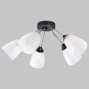 Потолочная люстра Imex MD.2167 MD.2167-5-S-BK+CH в Салехарде - salekhard.ok-mebel.com | фото 1