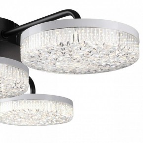Потолочная люстра Lumion Didana 8236/4CL в Салехарде - salekhard.ok-mebel.com | фото 7
