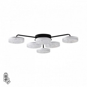 Потолочная люстра Lumion Didana 8236/6CL в Салехарде - salekhard.ok-mebel.com | фото 5