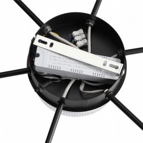 Потолочная люстра Lumion Didana 8236/7CL в Салехарде - salekhard.ok-mebel.com | фото 8