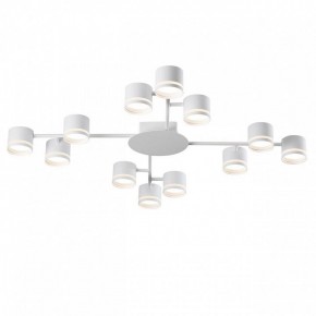 Потолочная люстра Lumion Gareta 8235/12C в Салехарде - salekhard.ok-mebel.com | фото 2
