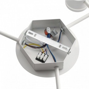 Потолочная люстра Lumion Gareta 8235/9C в Салехарде - salekhard.ok-mebel.com | фото 6