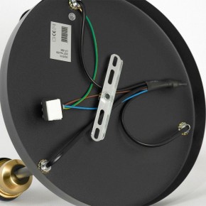 Потолочная люстра Lussole Mitchel LSP-8996 в Салехарде - salekhard.ok-mebel.com | фото 5