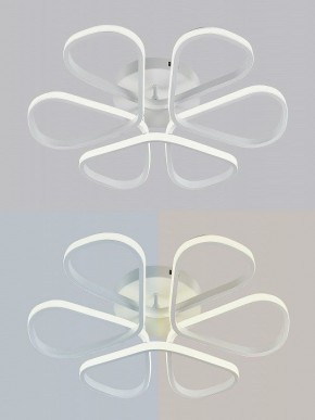 Потолочная люстра Natali Kovaltseva COBRA LED LAMPS 81121/7C в Салехарде - salekhard.ok-mebel.com | фото 6