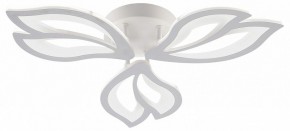 Потолочная люстра Natali Kovaltseva FORTUNA LED LAMPS 81107/2C в Салехарде - salekhard.ok-mebel.com | фото