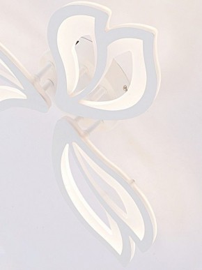 Потолочная люстра Natali Kovaltseva FORTUNA LED LAMPS 81107/2C в Салехарде - salekhard.ok-mebel.com | фото 11