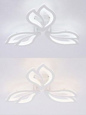 Потолочная люстра Natali Kovaltseva FORTUNA LED LAMPS 81107/2C в Салехарде - salekhard.ok-mebel.com | фото 4