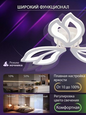 Потолочная люстра Natali Kovaltseva FORTUNA LED LAMPS 81107/2C в Салехарде - salekhard.ok-mebel.com | фото 5