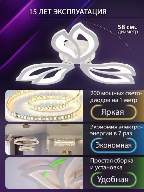Потолочная люстра Natali Kovaltseva FORTUNA LED LAMPS 81107/2C в Салехарде - salekhard.ok-mebel.com | фото 6