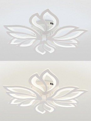 Потолочная люстра Natali Kovaltseva FORTUNA LED LAMPS 81107/6C в Салехарде - salekhard.ok-mebel.com | фото 4