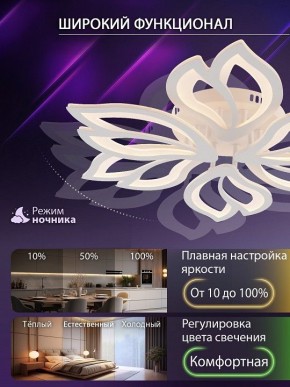 Потолочная люстра Natali Kovaltseva FORTUNA LED LAMPS 81107/6C в Салехарде - salekhard.ok-mebel.com | фото 6