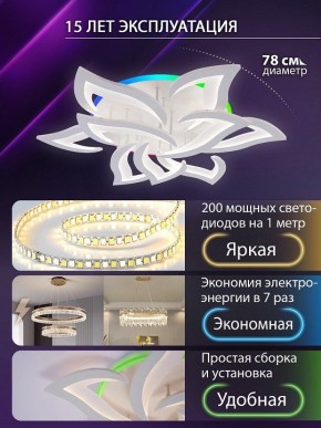 Потолочная люстра Natali Kovaltseva OLIMP LED LAMPS 81435 в Салехарде - salekhard.ok-mebel.com | фото 5