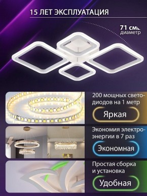 Потолочная люстра Natali Kovaltseva OPTI LED LAMPS 81108/1C в Салехарде - salekhard.ok-mebel.com | фото 5