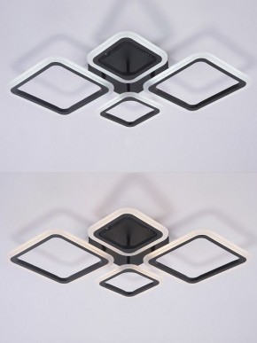 Потолочная люстра Natali Kovaltseva OPTI LED LAMPS 81108/2C в Салехарде - salekhard.ok-mebel.com | фото 4