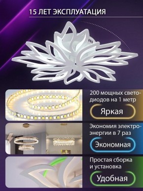 Потолочная люстра Natali Kovaltseva RIF LED LAMPS 81118/6C в Салехарде - salekhard.ok-mebel.com | фото 5