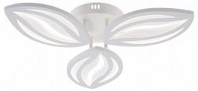 Потолочная люстра Natali Kovaltseva SM LED LAMPS 81456 в Салехарде - salekhard.ok-mebel.com | фото