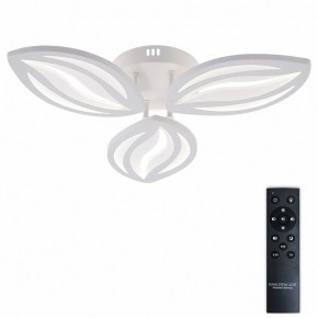 Потолочная люстра Natali Kovaltseva SM LED LAMPS 81456 в Салехарде - salekhard.ok-mebel.com | фото 2
