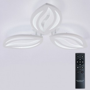 Потолочная люстра Natali Kovaltseva SM LED LAMPS 81456 в Салехарде - salekhard.ok-mebel.com | фото 3