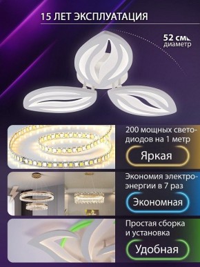 Потолочная люстра Natali Kovaltseva SM LED LAMPS 81456 в Салехарде - salekhard.ok-mebel.com | фото 5