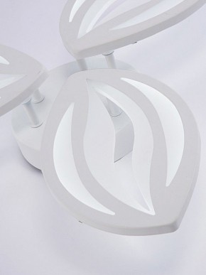 Потолочная люстра Natali Kovaltseva SM LED LAMPS 81456 в Салехарде - salekhard.ok-mebel.com | фото 8