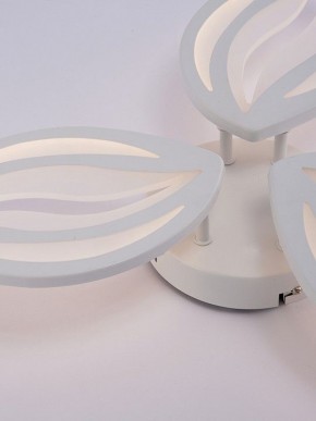 Потолочная люстра Natali Kovaltseva SM LED LAMPS 81456 в Салехарде - salekhard.ok-mebel.com | фото 9