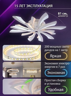 Потолочная люстра Natali Kovaltseva VIO LED LAMPS 81454 в Салехарде - salekhard.ok-mebel.com | фото 5