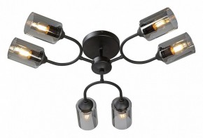 Потолочная люстра Vitaluce V2823 V2823-1/6PL в Салехарде - salekhard.ok-mebel.com | фото 2