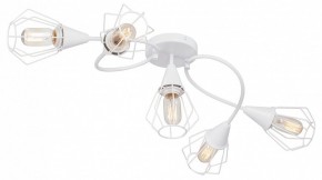 Потолочная люстра Vitaluce V3037 V3037-0/5PL в Салехарде - salekhard.ok-mebel.com | фото