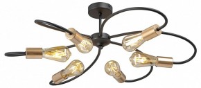 Потолочная люстра Vitaluce V3076 V3076-1/6PL в Салехарде - salekhard.ok-mebel.com | фото 3
