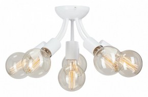 Потолочная люстра Vitaluce V3927 V3927-0/6PL в Салехарде - salekhard.ok-mebel.com | фото