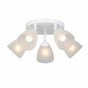 Потолочная люстра Vitaluce V4355 V4355-0/5PL в Салехарде - salekhard.ok-mebel.com | фото 2