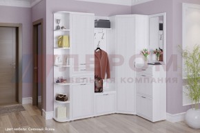 Прихожая Карина композиция 5 (Снежный ясень) в Салехарде - salekhard.ok-mebel.com | фото 1