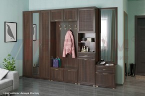 Прихожая Карина композиция 6 (Акация Молдау) в Салехарде - salekhard.ok-mebel.com | фото 1