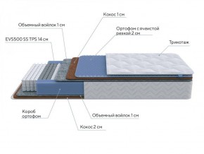 PROxSON Матрас Active Duo M/F (Ткань Трикотаж Эко) 120x190 в Салехарде - salekhard.ok-mebel.com | фото 6