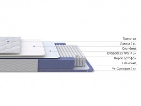 PROxSON Матрас Active Duo S/F (Ткань Трикотаж Эко) 80x195 в Салехарде - salekhard.ok-mebel.com | фото 2