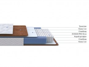 PROxSON Матрас Active F Roll (Ткань Трикотаж Эко) 160x200 в Салехарде - salekhard.ok-mebel.com | фото 3