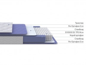 PROxSON Матрас Active F (Ткань Трикотаж Эко) 80x200 в Салехарде - salekhard.ok-mebel.com | фото 2