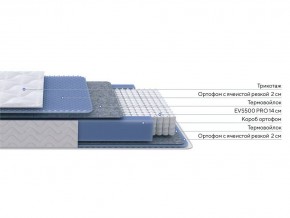 PROxSON Матрас Active M Roll (Ткань Трикотаж Эко) 160x200 в Салехарде - salekhard.ok-mebel.com | фото 2