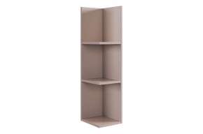 РИЧ Полка навесная 2 (кашемир) в Салехарде - salekhard.ok-mebel.com | фото 4