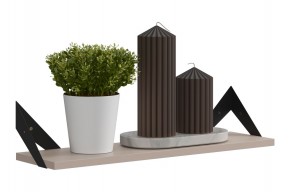 РИЧ Полка навесная в Салехарде - salekhard.ok-mebel.com | фото 3