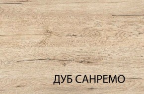 Шкаф 2DG OSKAR , цвет дуб Санремо в Салехарде - salekhard.ok-mebel.com | фото 3