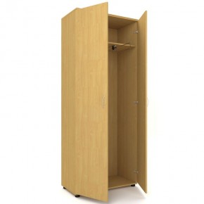 Шкаф для одежды двухстворчатый "Проспект" (Р.Ш-8) в Салехарде - salekhard.ok-mebel.com | фото 3