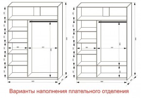 Шкаф-купе 1600 серии SOFT D1+D3+B2+PL1 (2 ящика+1штанга) профиль «Графит» в Салехарде - salekhard.ok-mebel.com | фото 6