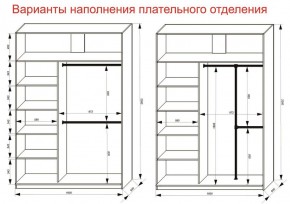 Шкаф-купе 1600 серии SOFT D6+D4+B2+PL2 (2 ящика+1штанга+1 полка) профиль «Капучино» в Салехарде - salekhard.ok-mebel.com | фото 9