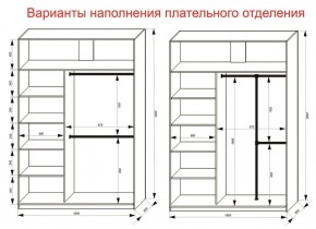 Шкаф-купе 1600 серии SOFT D6+D6+B2+PL3 (2 ящика+2штанги) профиль «Капучино» в Салехарде - salekhard.ok-mebel.com | фото 7