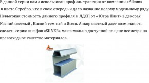 Шкаф-купе 2250 серии SILVER S3+S1+S3Z B22+PL2 (по 2 ящика лев/прав+1штанга+1 полка) профиль «Серебро» в Салехарде - salekhard.ok-mebel.com | фото 4