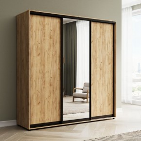 Шкаф-купе Акцент-Сим ДЗ 1500-600 в Салехарде - salekhard.ok-mebel.com | фото 4