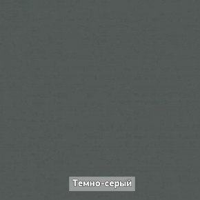 Шкаф купе без зеркала "Ольга-Лофт 10.1" в Салехарде - salekhard.ok-mebel.com | фото 7